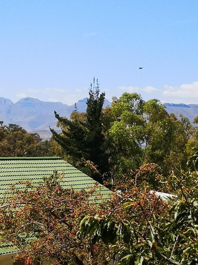 Villa Clarens On Collett Esterno foto